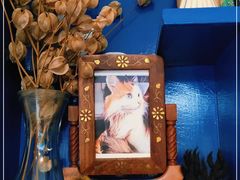 -Anne猫窝咖啡屋