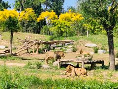 -北京野生动物园