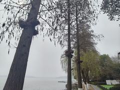 -湖滨客舍·湖北菜