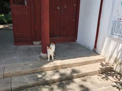 -秋霞圃