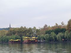 -运河游船(武林门码头)