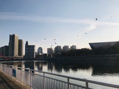-海河游船-永乐码头(大悲院)