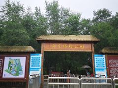 -西青郊野公园