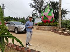 -硇洲岛旅游区
