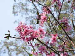 -广州市白云山风景名胜区