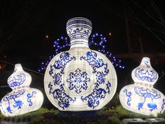 -锦江乐园舞狸花花游园会(夜场专享)