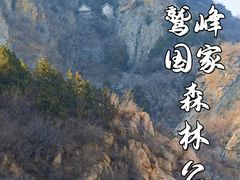 -北京鹫峰国家森林公园