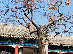 -北京石刻艺术博物馆(五塔寺)