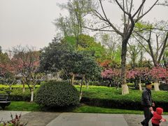 -圩墩遗址公园