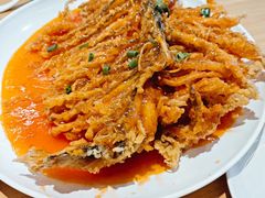 -新白家罩饼(三丰路店)