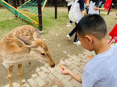 -广东花都香草世界旅游度假区