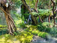 -Chom Cafe and Restaurant