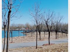 -东郊湿地公园