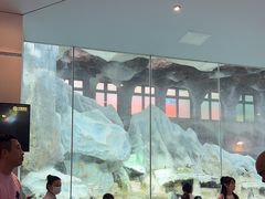 -帝企鹅自助餐厅•儿童岛•真企鹅(长隆企鹅酒店)