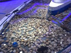 -澜悦港海鲜体验主题餐厅
