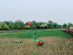 -绿堤公园