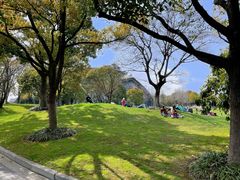 -上海吴淞炮台湾国家湿地公园