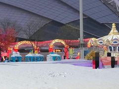 -沈阳奥体冰雪嘉年华