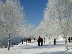景点-雾凇岛