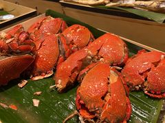 -荟星庭西餐厅(天府丽都喜来登饭店)