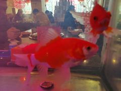 -粗粮人家·东北菜(洋桥店)