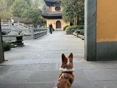 -慧因高丽寺