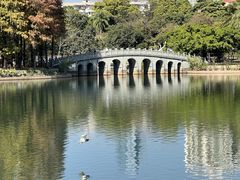 -四海公园(南山区)
