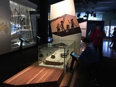 -墨尔本博物馆(Melbourne Museum)
