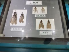-上海昆虫博物馆