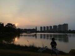 -美的鹭湖森林度假区