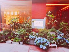 -二酉书店TOYOU BOOKS