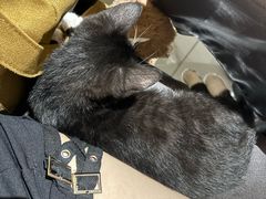 -上川阁剧本杀·狼人杀·血染钟楼(虹口店)