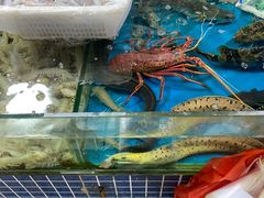 -北海港酒楼 海鲜代加工 粤菜(淡村商贸城店)