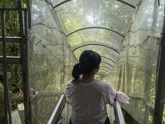 -七仙岭温泉国家森林公园