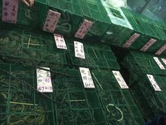 -荔城生鲜盛宴(番禺旗舰店)