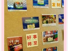 -卡巴机器人编程·少儿编程·信息学竞赛(公益西桥校区)