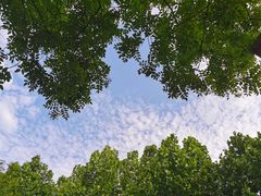 -Supine Bistro溯泮餐厅