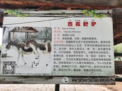 -青藏高原野生动物园