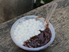 -潘玉麟糖粥