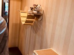 -宠爱国际动物医院·消化内科·心肾内科·ISFM猫友好(望京店)