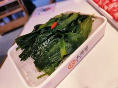 海带苗-大熊猫毛肚火锅(烟台万象汇店)