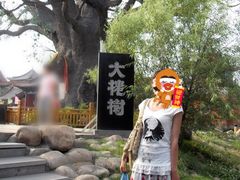 -大槐树寻根祭祖园