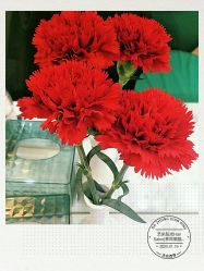 -艺米阳光Hair Salon