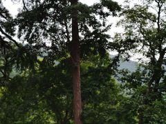 -北京上方山国家森林公园