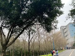 -西南政法大学(渝北校区)