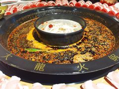 -大龍火锅(簋街店)