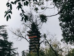 -塔子山公园