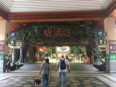 -呀诺达热带雨林
