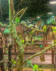 -酷嗒动物文化乐园(cutezoo西溪乐天城店)