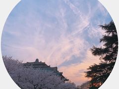 -武汉大学-樱园